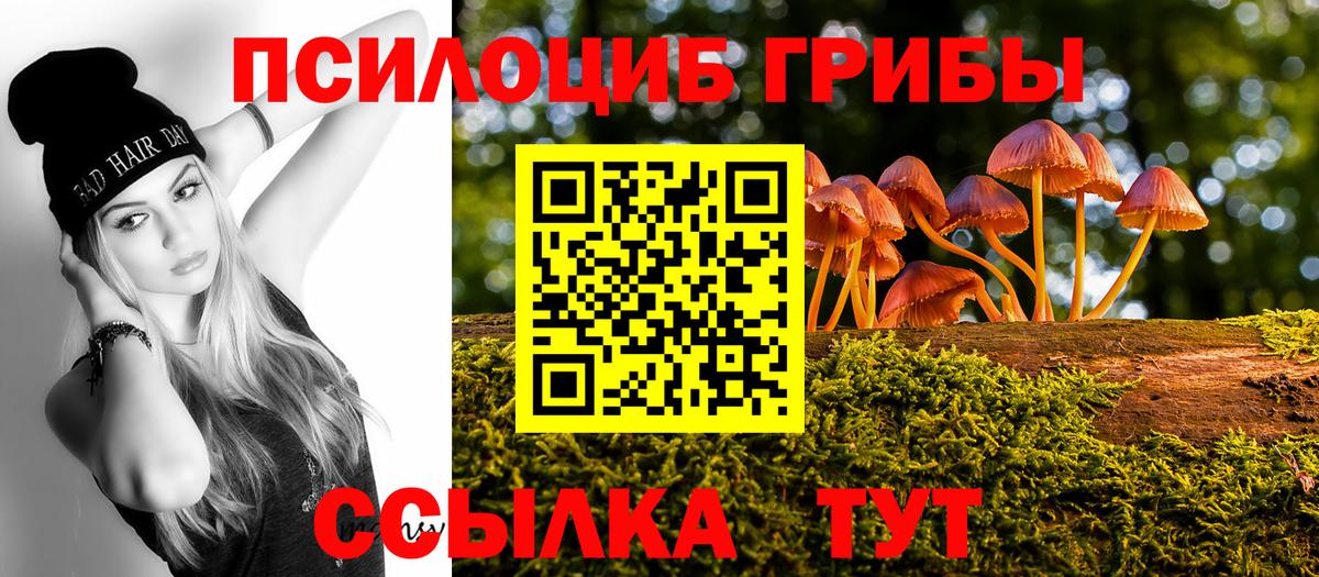 Псилоцибиновые грибы мицелий Губаха