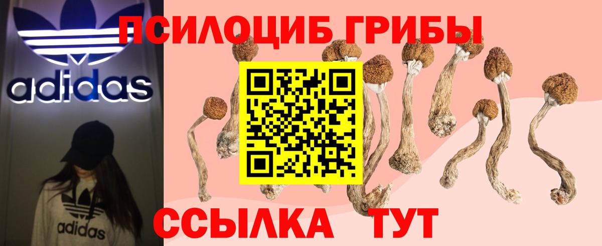 Псилоцибиновые грибы GOLDEN TEACHER  Вход с VPN  Губаха 
